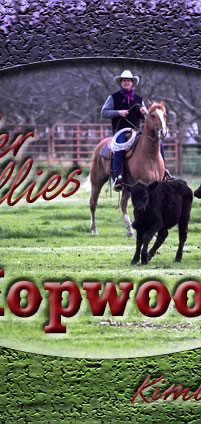 Hopwood Border Collies - Proven Lines - Wanman's Willie, Alexander's Griz
